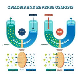 osmosis and reverse osmosis